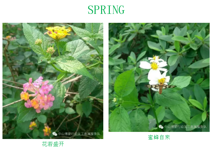 QQ圖片20160505105734.png QQ圖片20160505105734.png